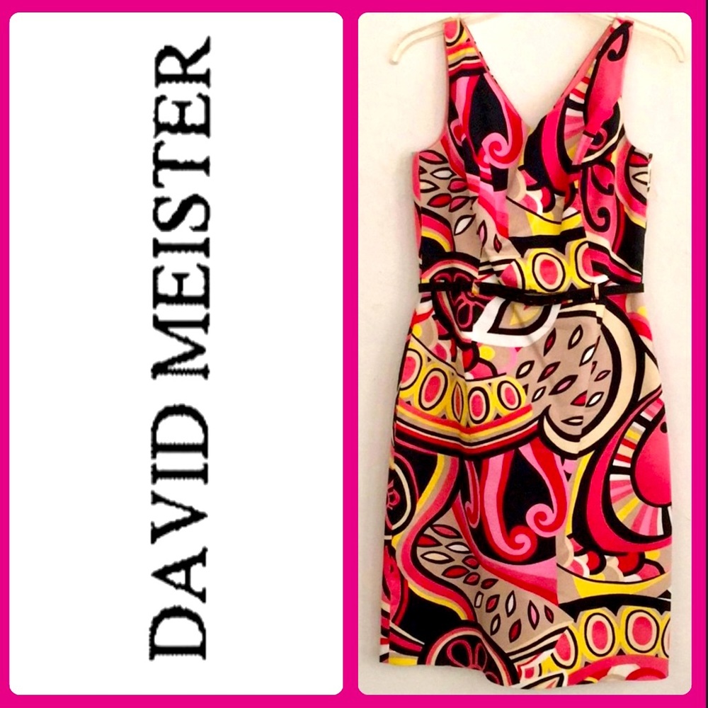 DAVID MEISTER DRESS. SZ: 14